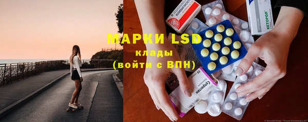 мдпв Горнозаводск