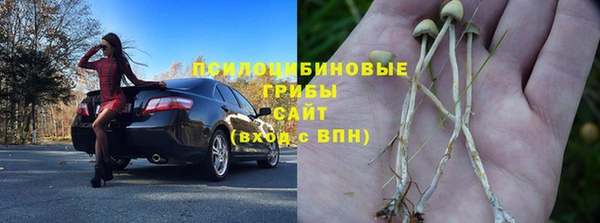 марихуана Гусиноозёрск