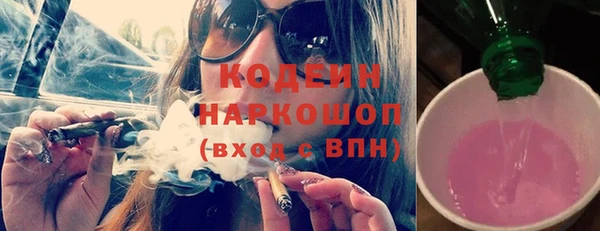 мдпв Горнозаводск